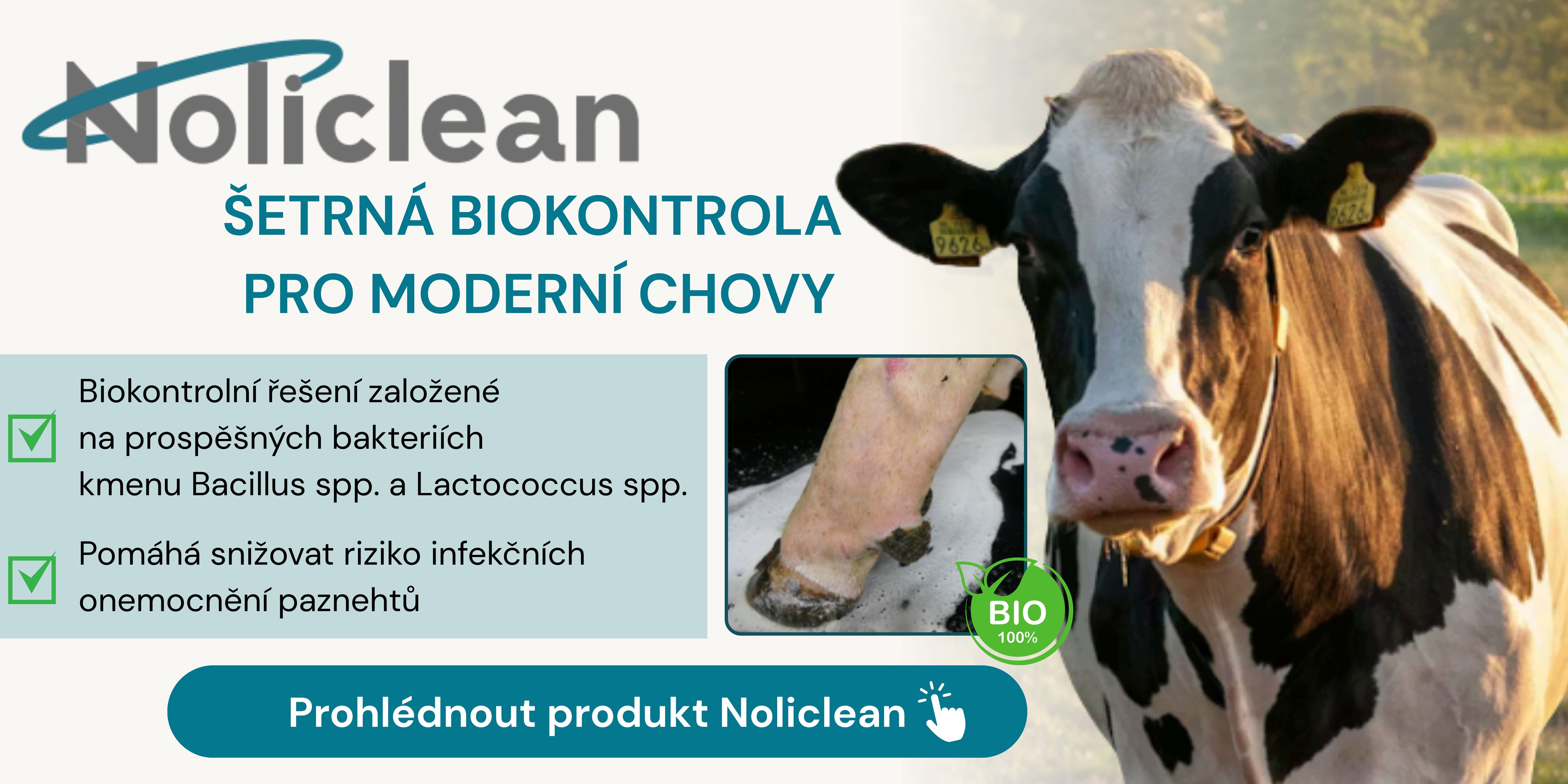 noliclean