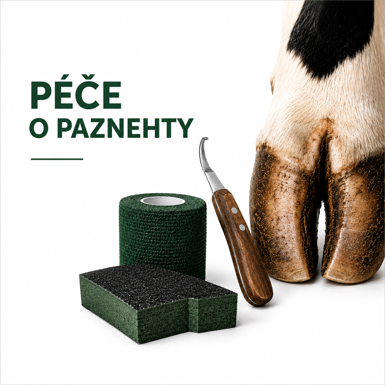 Péče o paznehty