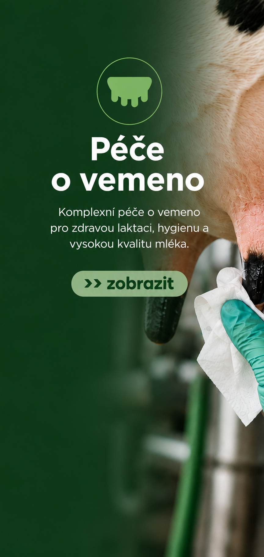 Péče o vemeno
