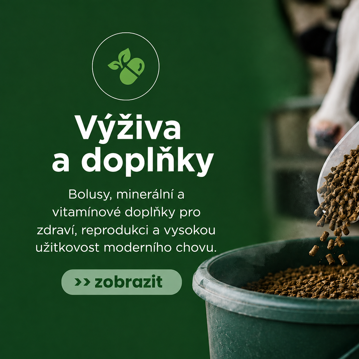 Výživa a doplňky
