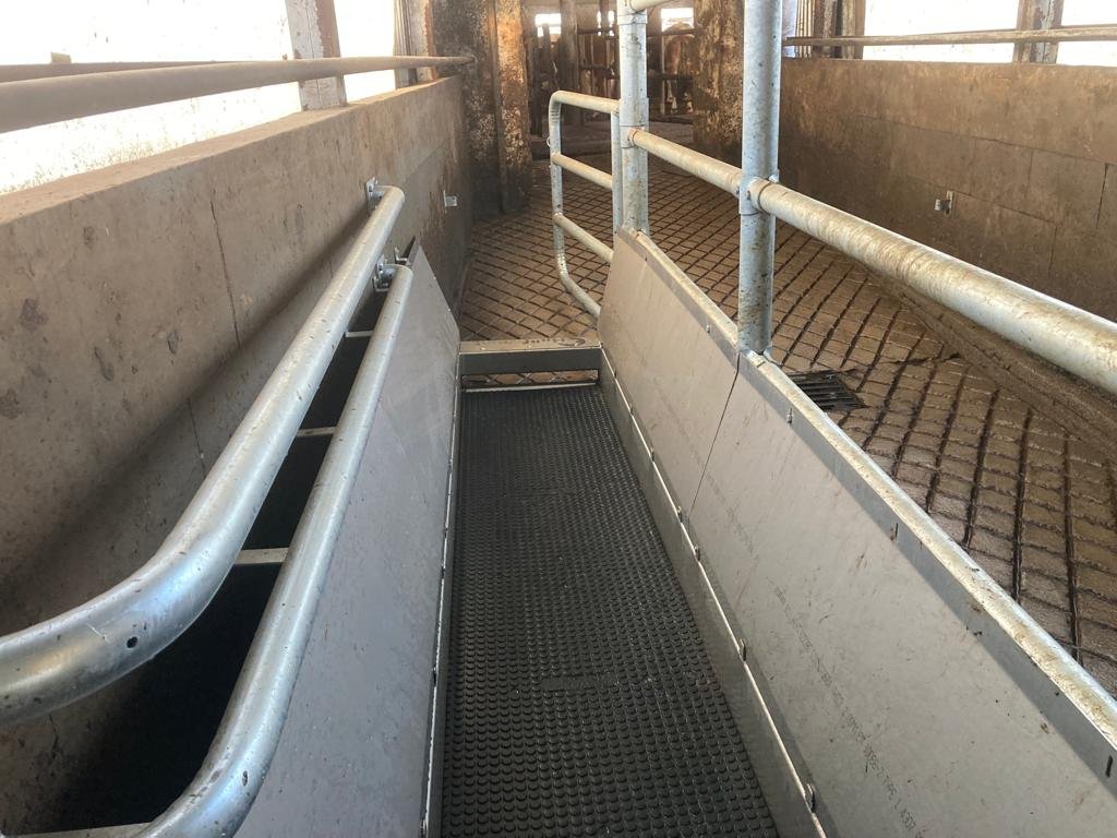 8a7912a0 269b 418c a97d 1611cce1a9f1