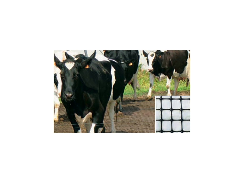 Zátěžový koberec STABIROLL