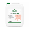 fasy mint dip