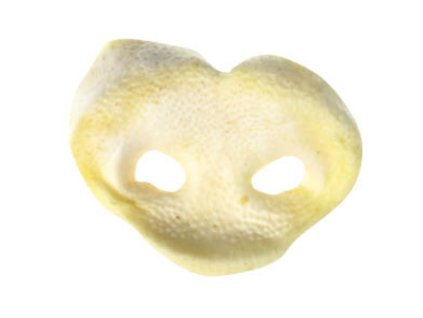 rypak bravcovy biely 12g 14cm 19700101010000 440 29