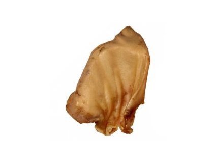 susene bravcove ucho