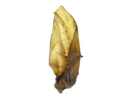 ucho hovadzie natural s masom 55g 19700101010000 446 16