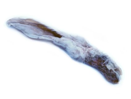 Screenshot From 2025 12 21 14 37 40