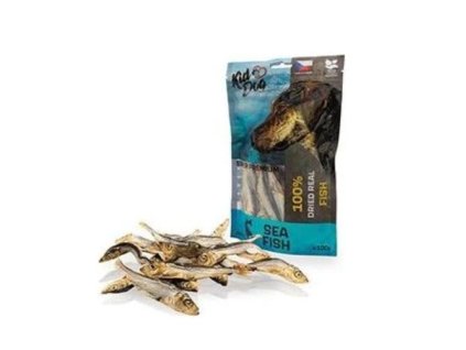 Snímka obrazovky 2026 02 20 143614