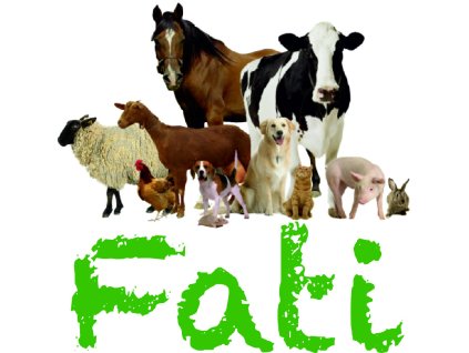 Fati Logo