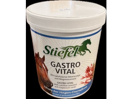 Stiefel Gastro Vital 1kg