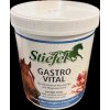 Stiefel Gastro Vital 1kg