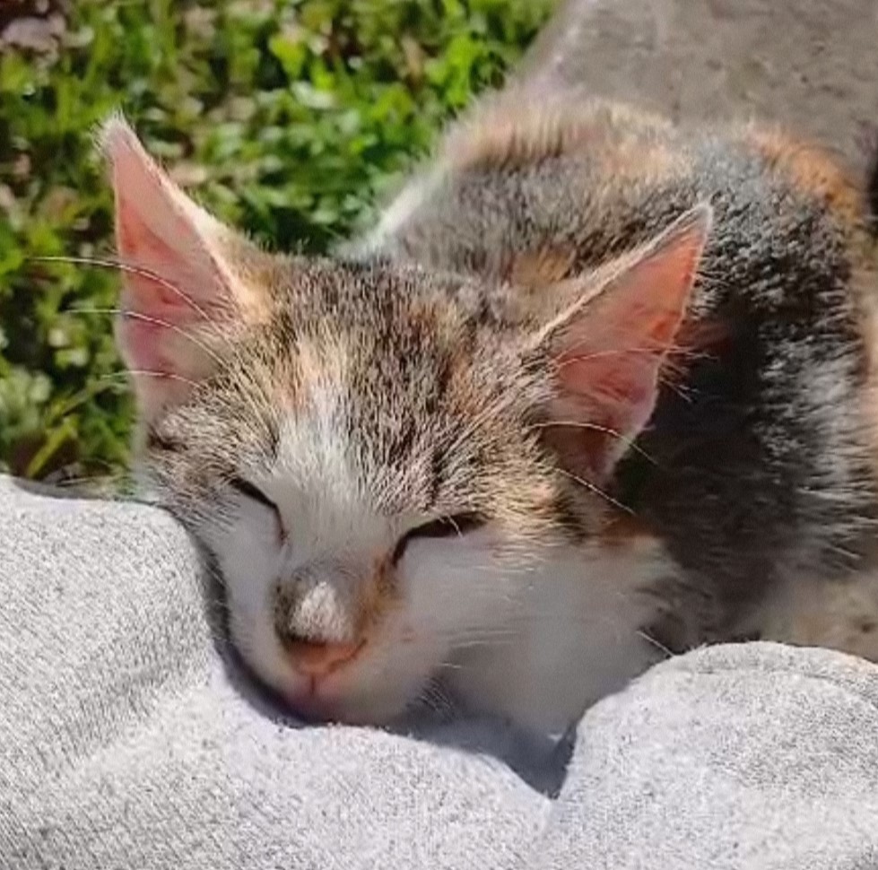 Proč ji někdo vyhodil do příkopu?