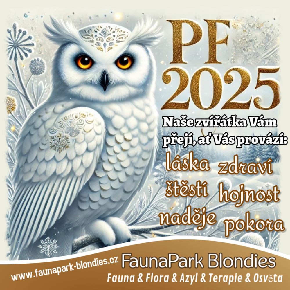 PF 2025