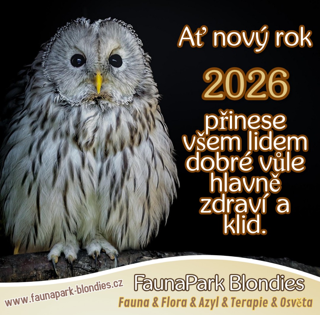 PF 2026