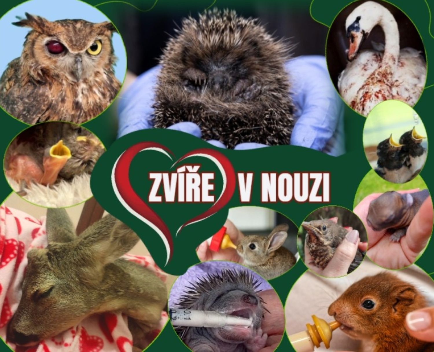 Budujeme záchrannou stanici