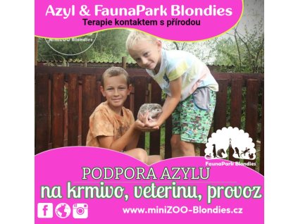 adopce azyl