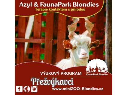 prezvykavci