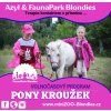 PONYKROUZEK