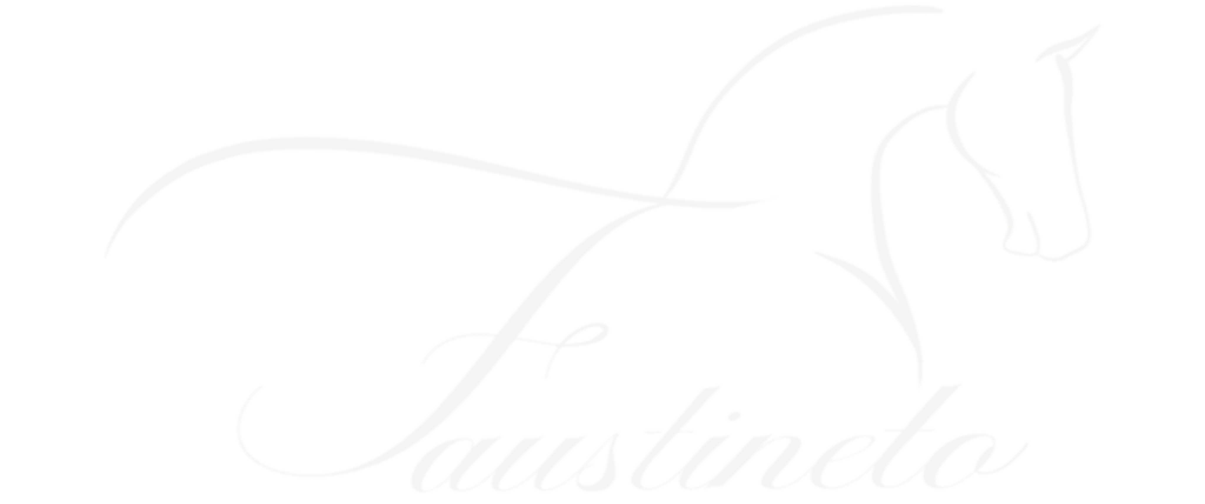 Faustineto