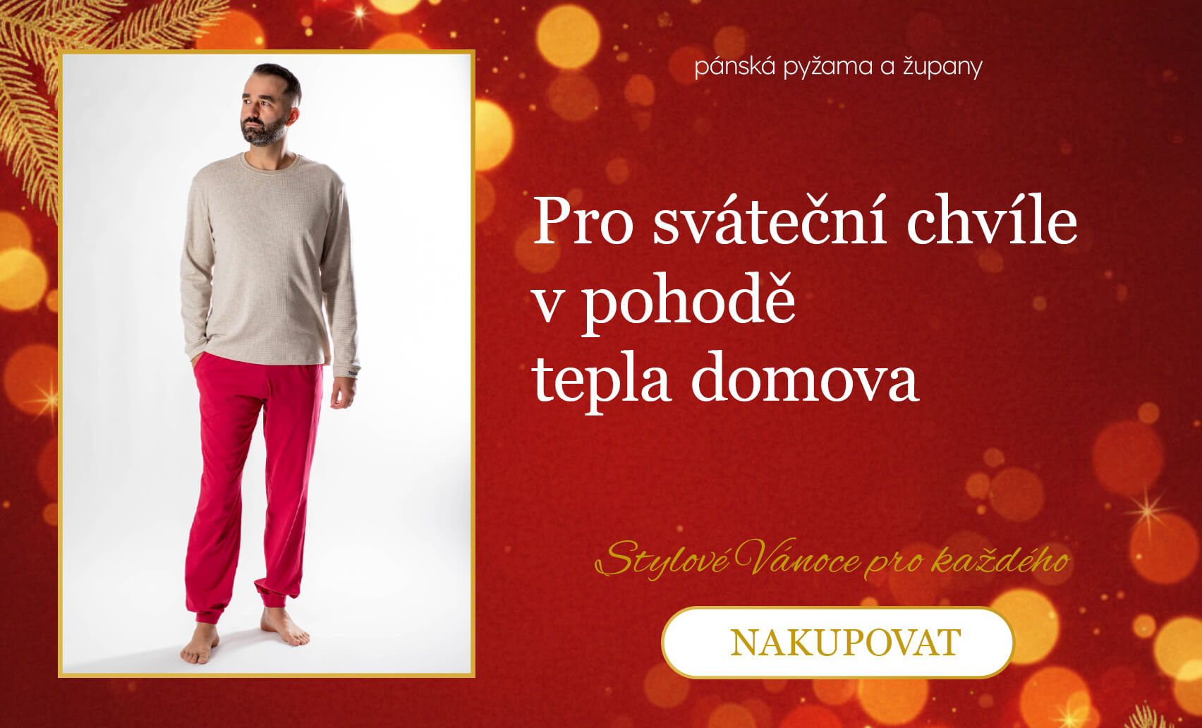 pánské domácí oblečení - trička, pyžama, kraťasy