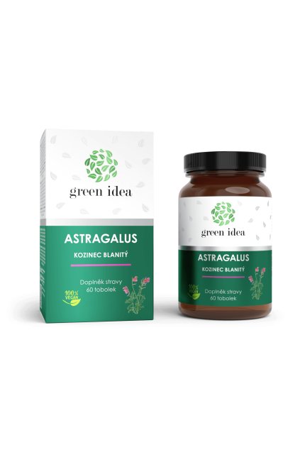 astragalus