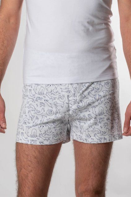 BOXER HAV 0003