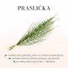 PRASLIČKA sk