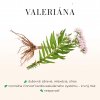 valeriána