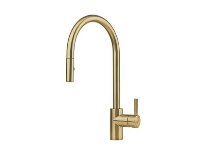 FRANKE Baterie FC 0045.504 EOS NEO celonerez zlatá, sprcha/proud