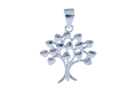 Untitled image 2024 12 03T111946.906