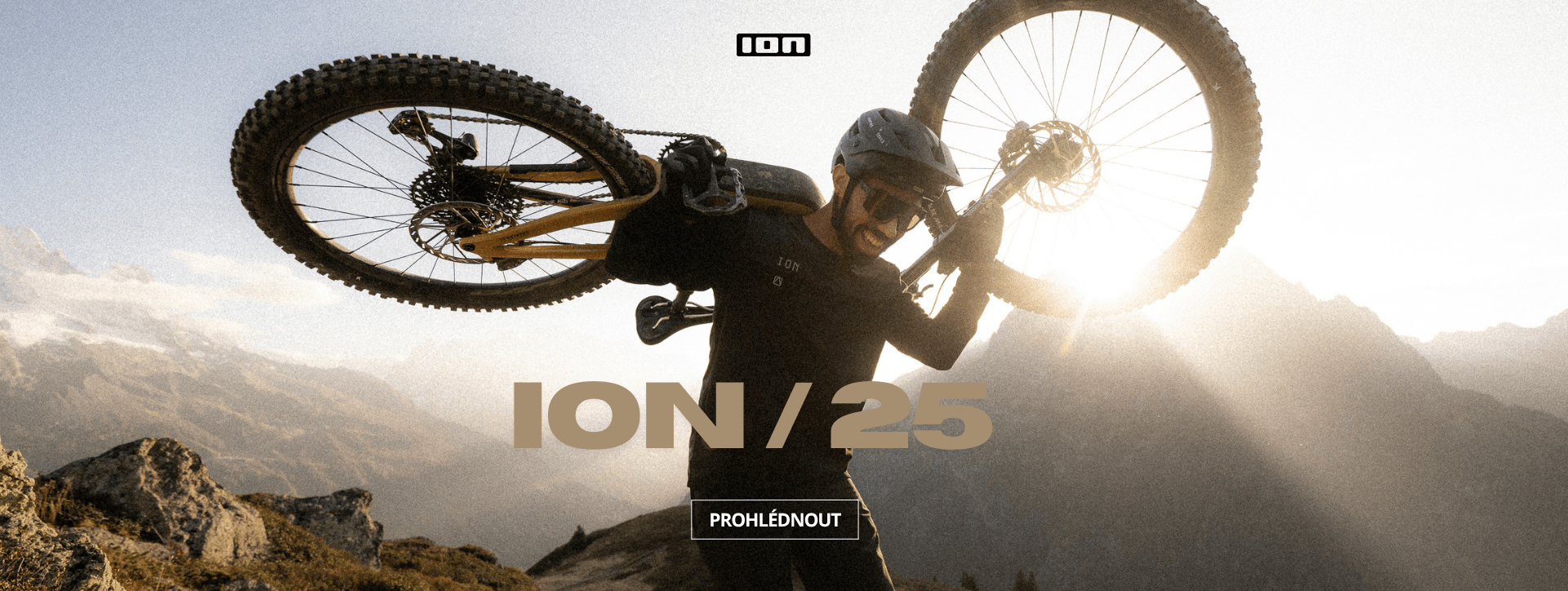 ION 25 - web