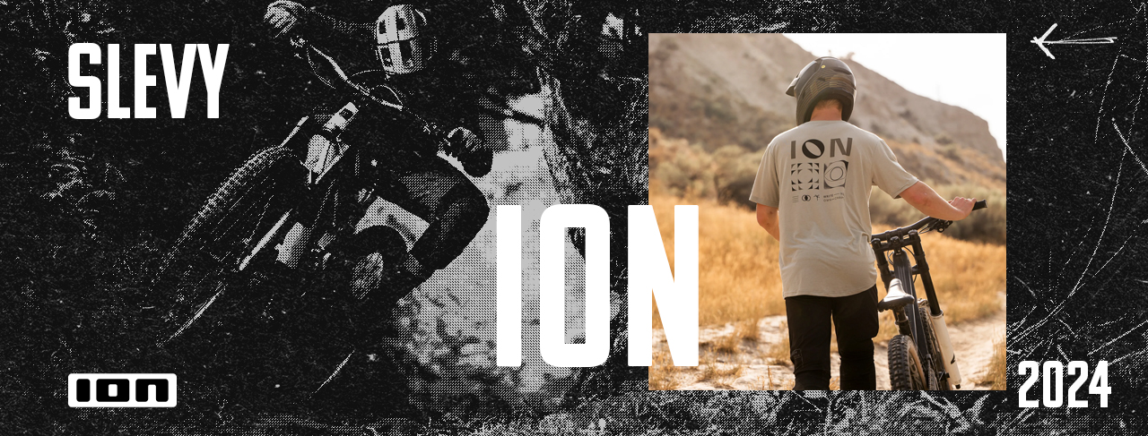 ION 24 WEB