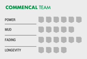 TEAM-ENG