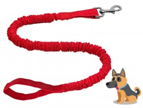 Dog+Leash+With+Clip+Red