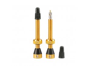 bezdusovy system tubolight valves 50mm gold