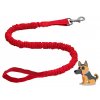 Dog+Leash+With+Clip+Red