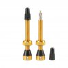 bezdusovy system tubolight valves 50mm gold