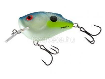 SALMO SQUAREBILL 6CM SXS