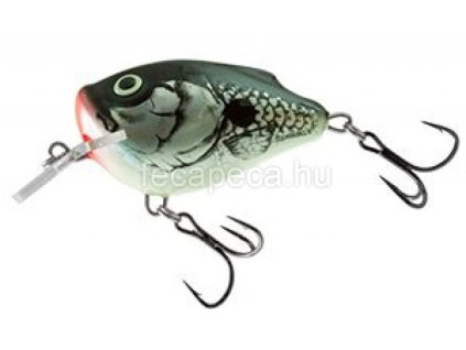 SALMO SQUAREBILL 6CM HGY