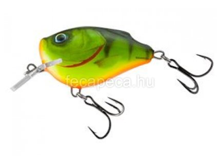 SALMO SQUAREBILL 6CM HPH