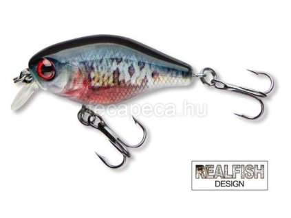 CORMORAN COR F3 DYING ROACH
