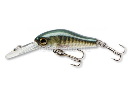 CORMORAN COR F2 PERCH