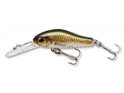 CORMORAN COR F2 CARP