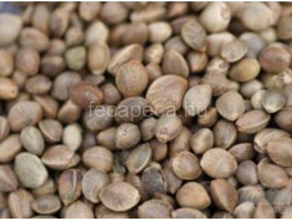 KENDERMAG SZÁRAZ NORMÁL 1KG