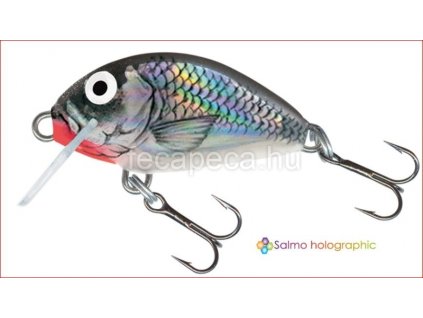 SALMO TINY SINKING 3CM HGS
