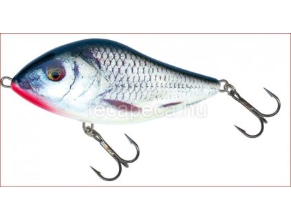 SALMO SLIDER SINKING 10CM RGS