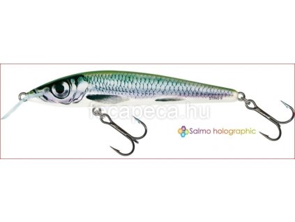 SALMO RATTLIN STING 9CM HBL
