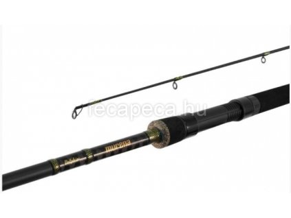 DELPHIN MURENA SPIN 3,00M 100G