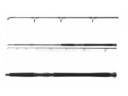 DAIWA EXCELER CATFISH 270M 200-600G