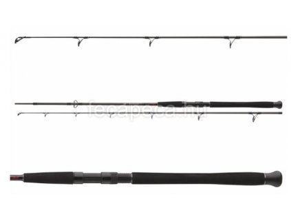 DAIWA EXCELER CF SPIN 2.40M 135G